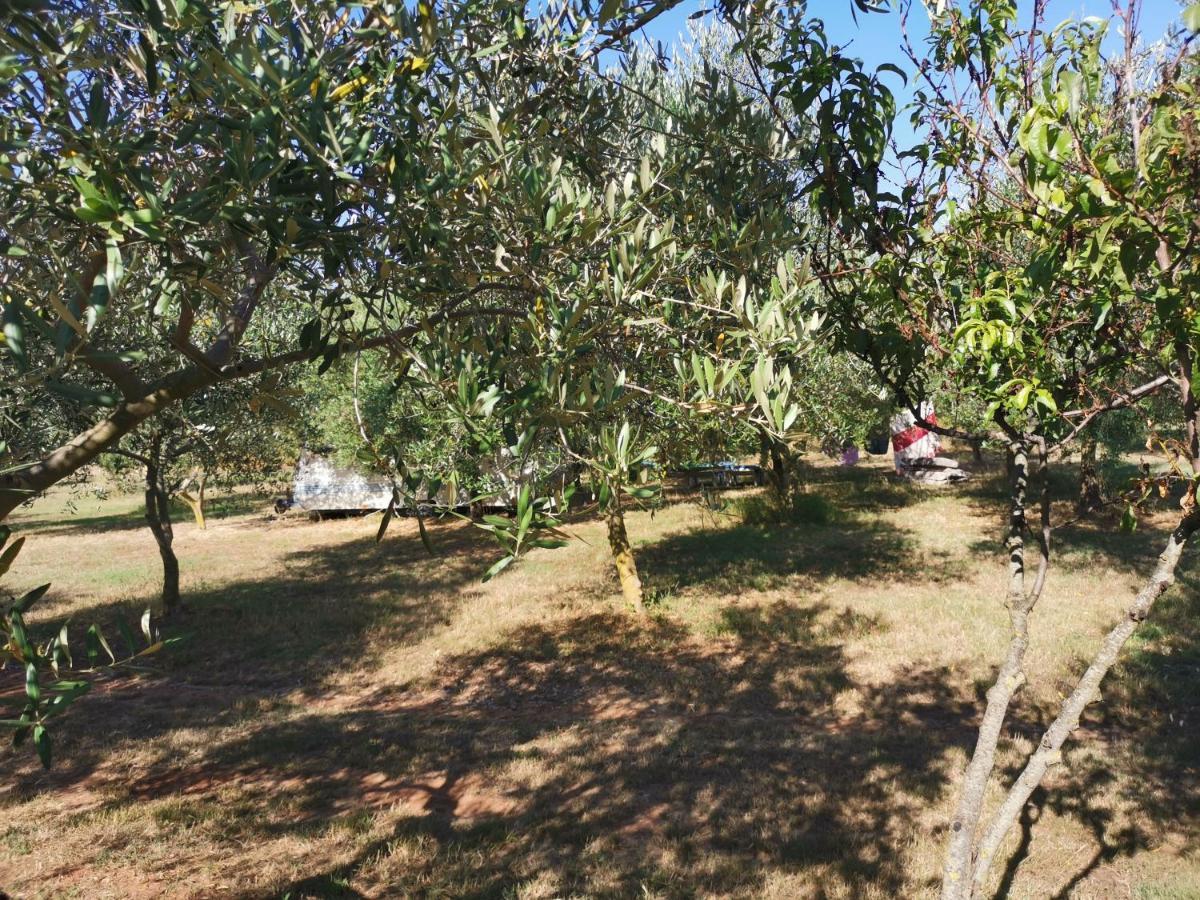 Jacuzi Cottage In The Olive Grove プーラ エクステリア 写真