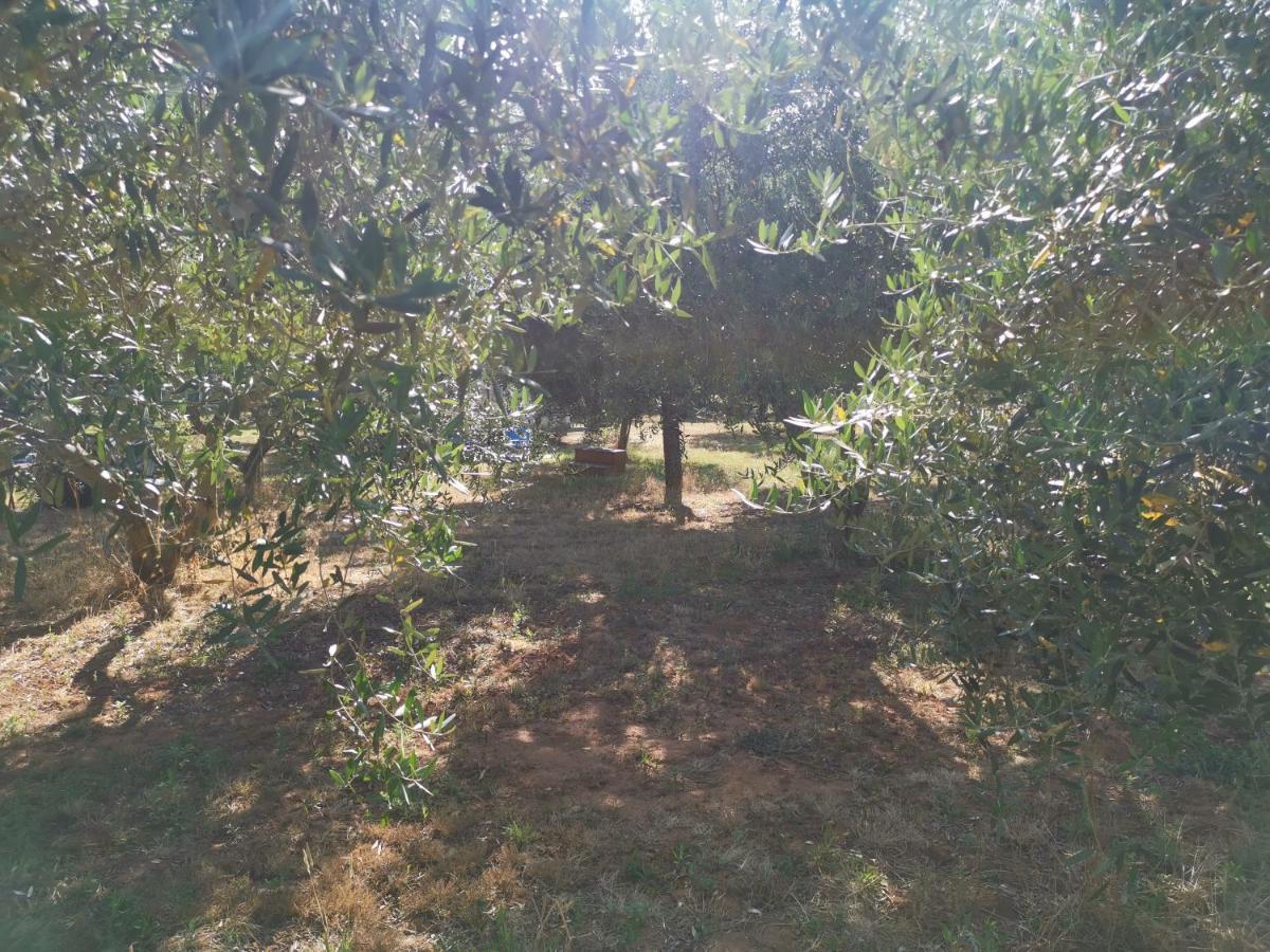 Jacuzi Cottage In The Olive Grove プーラ エクステリア 写真