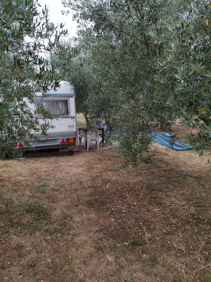 Jacuzi Cottage In The Olive Grove プーラ エクステリア 写真