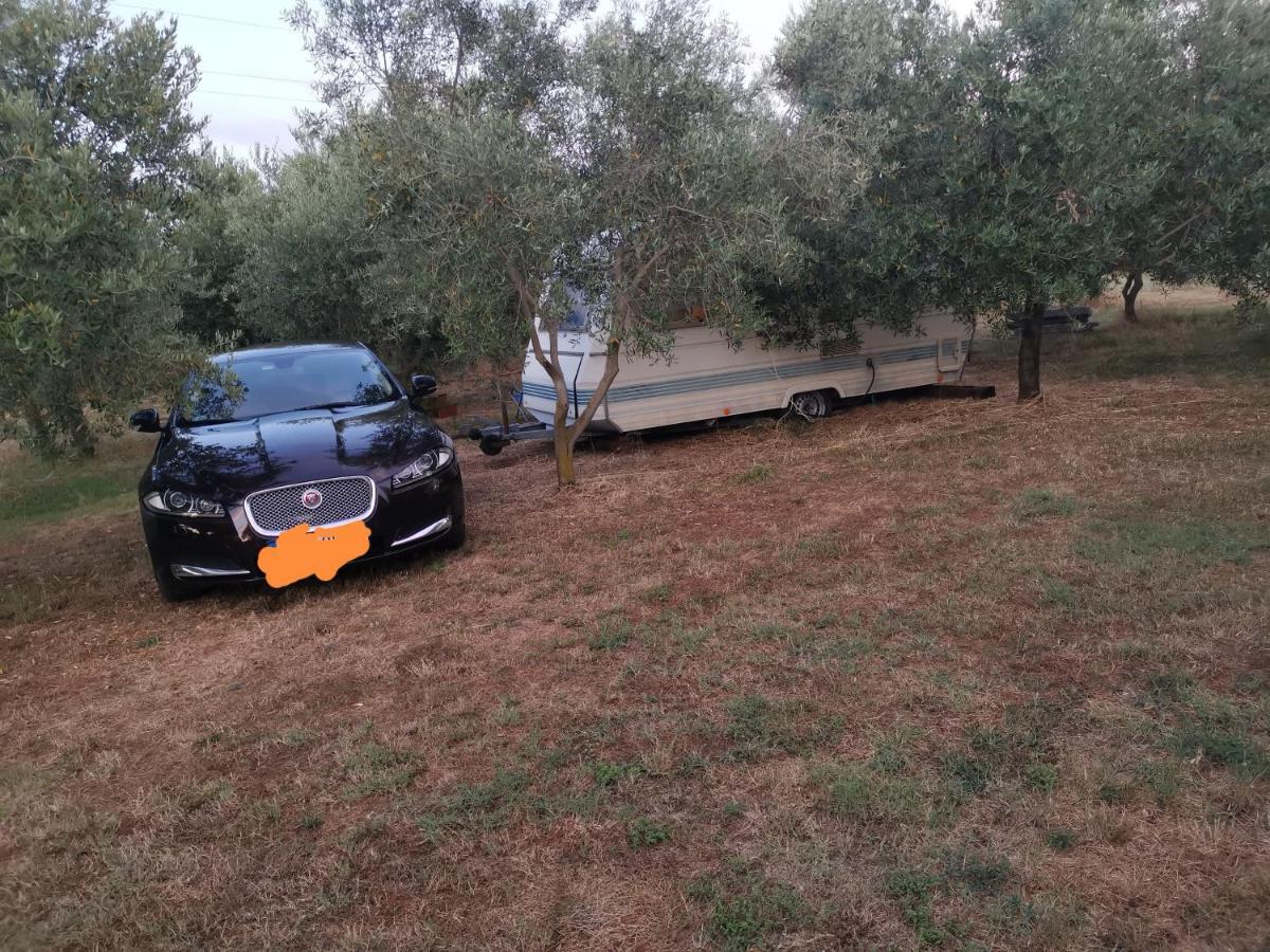 Jacuzi Cottage In The Olive Grove プーラ エクステリア 写真