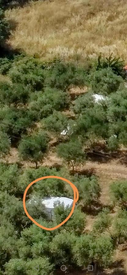 Jacuzi Cottage In The Olive Grove プーラ エクステリア 写真